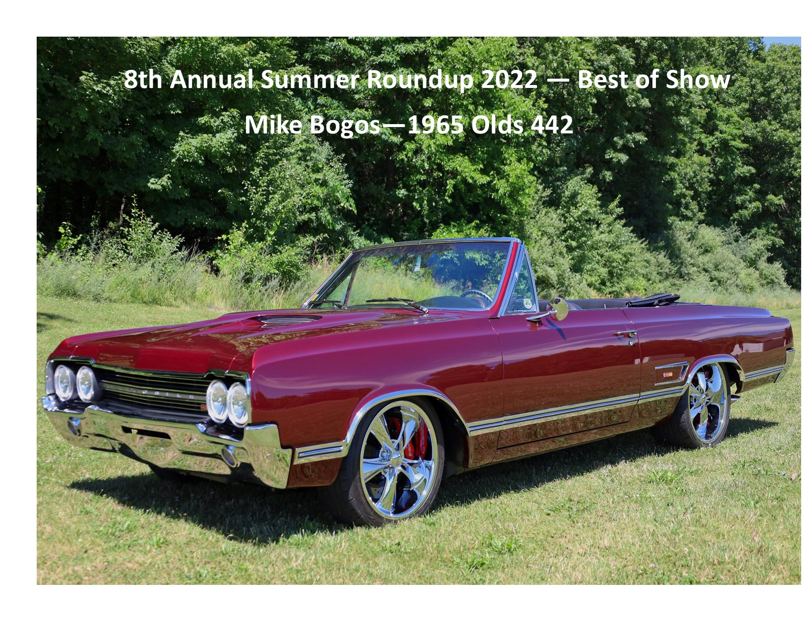 8th Annual Summer Roundup 2022 - Best in Show